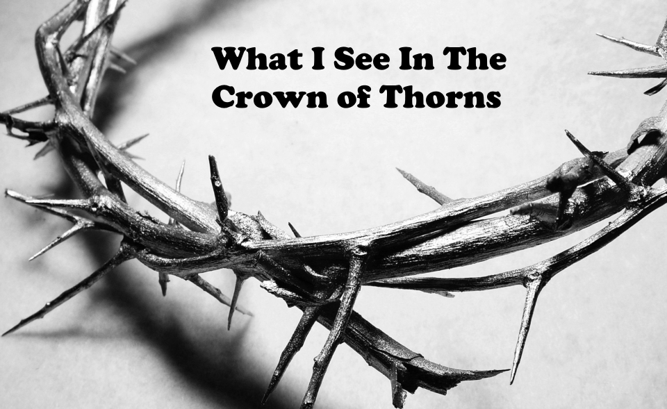 What I See in the Crown of Thorns