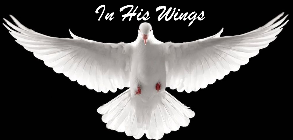 In His Wings