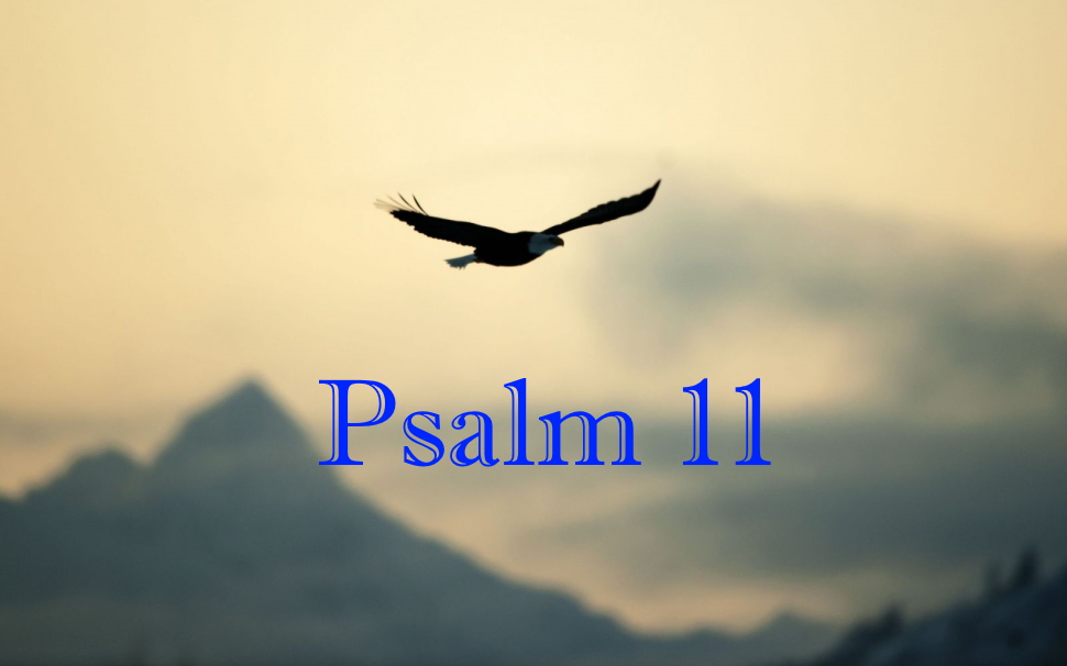 Psalm 11