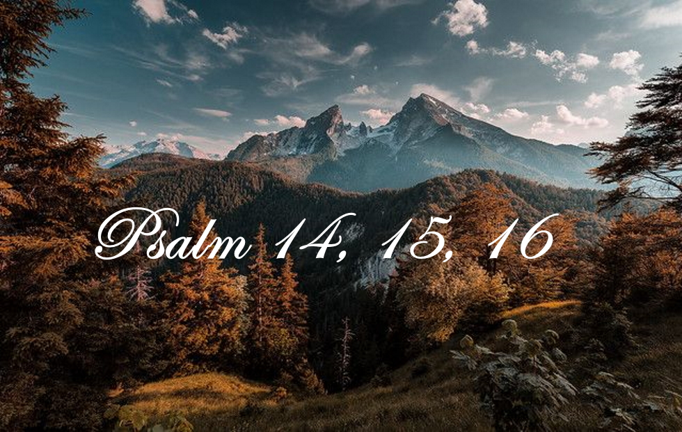 Psalm 14, 15, 16