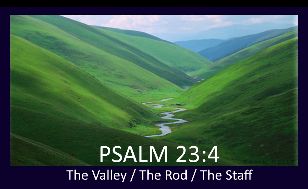 The Valley - The Rod - The Staff