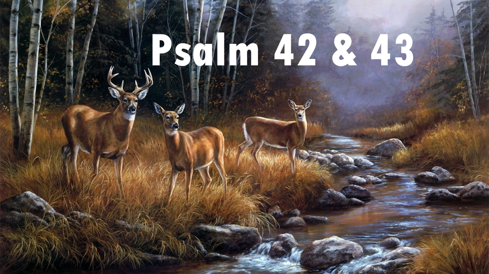 Psalm 42 & 43