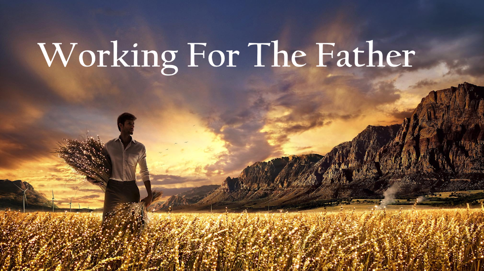 Working For The Father
