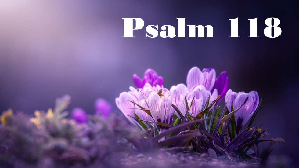 Psalm 118