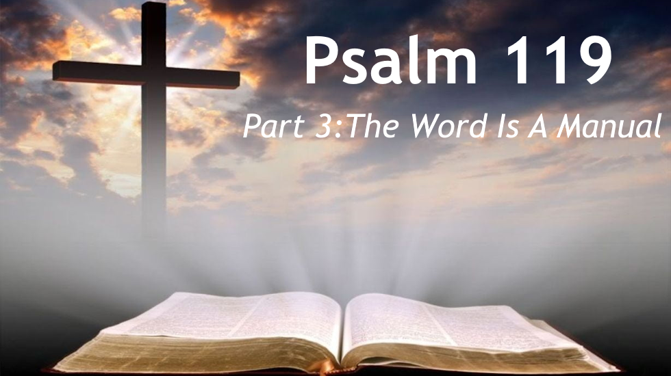Psalm 119 - Part 3