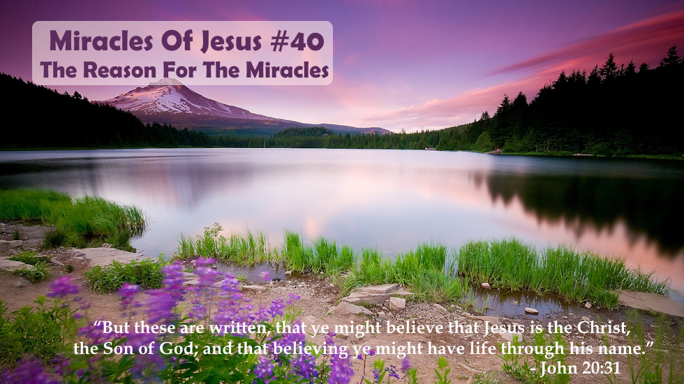 Miracles Of Jesus #40 - The Reason For The Miracles
