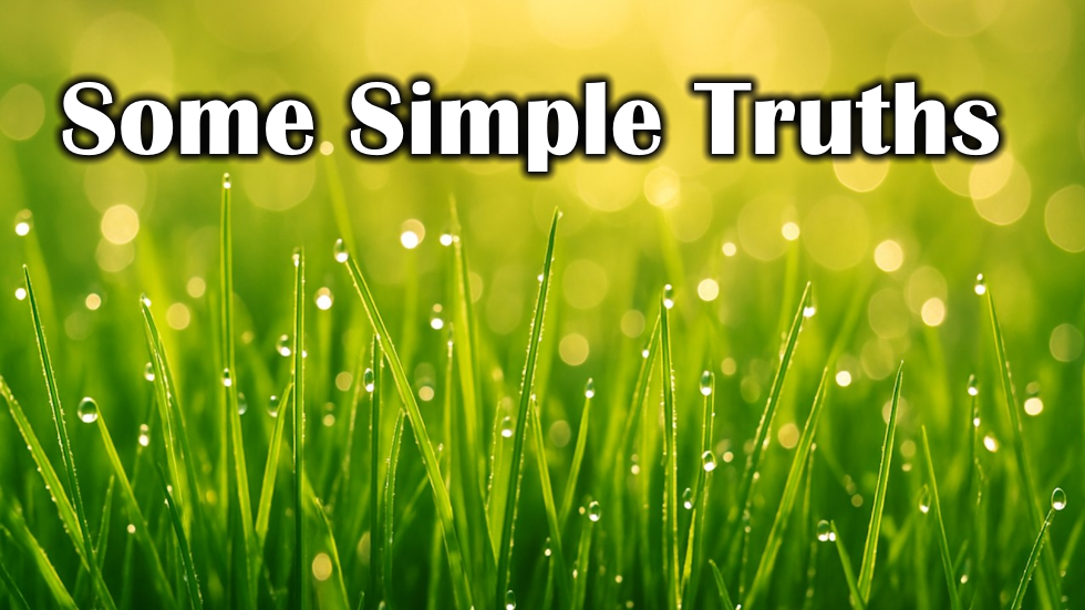 Some Simple Truths