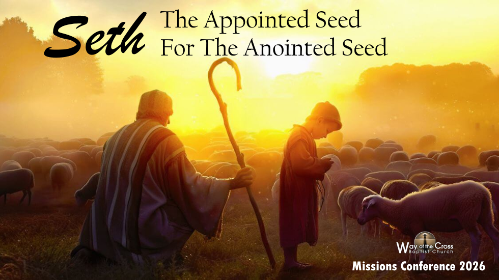 Seth: The Appointed Seed For The Anointed Seed