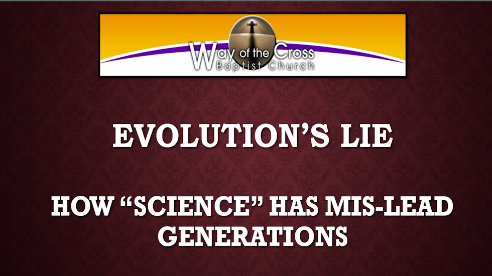 Evolution's Lies
