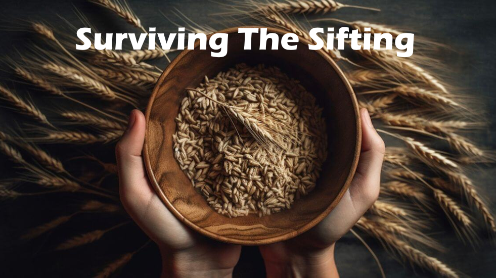 Surviving The Sifting
