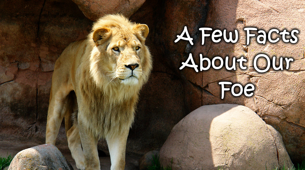A Few Facts About Our Foe
