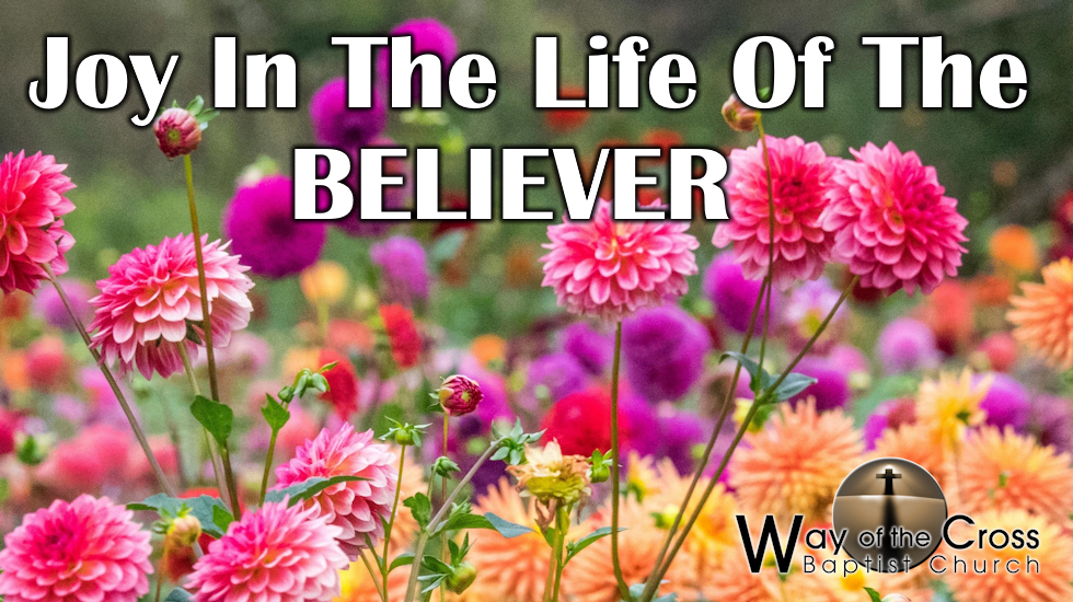 Joy In The Life Of The Believer