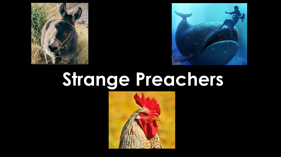 Strange Preachers