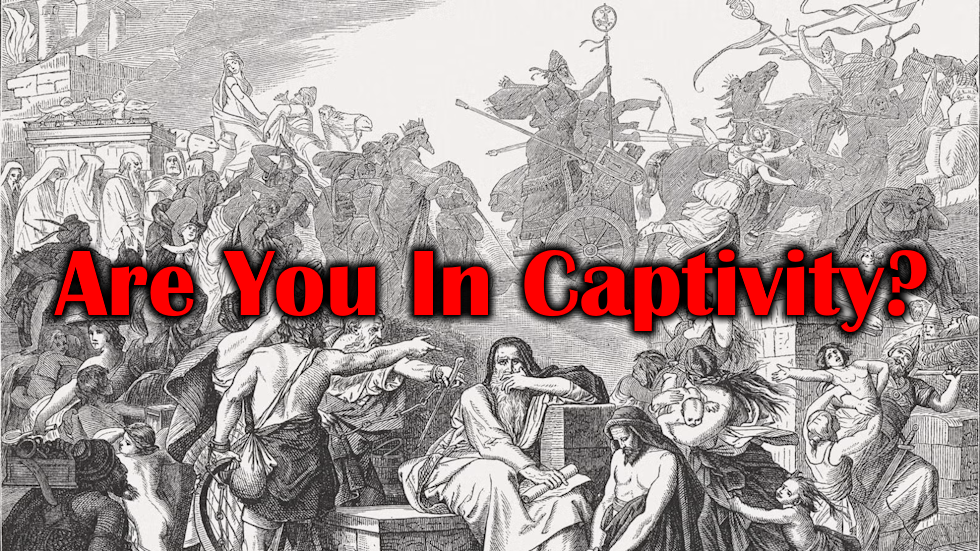 Are You In Captivity?