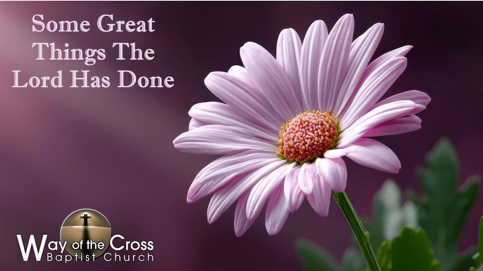 Some Great Things The Lord Has Done